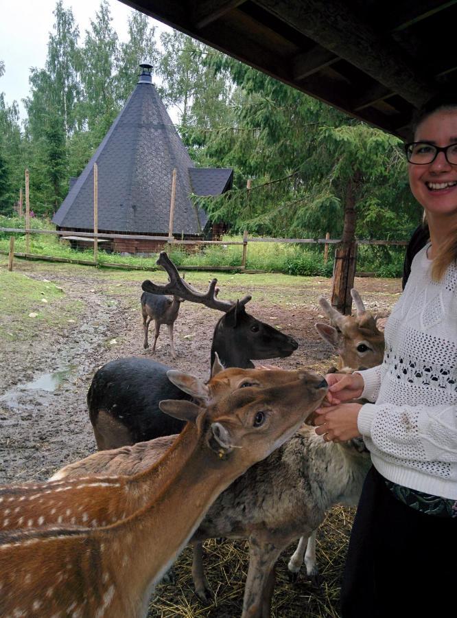 Suvituuli | Paajoen Vuokramoekit Villa Himos Luaran gambar